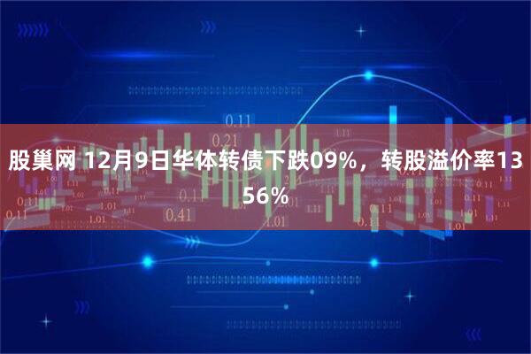 股巢网 12月9日华体转债下跌09%，转股溢价率1356%