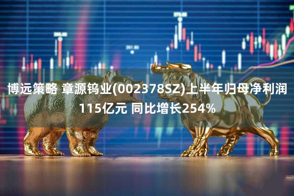 博远策略 章源钨业(002378SZ)上半年归母净利润115亿元 同比增长254%